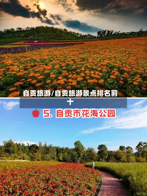 自贡旅游/自贡旅游景点排名前十-第1张图片